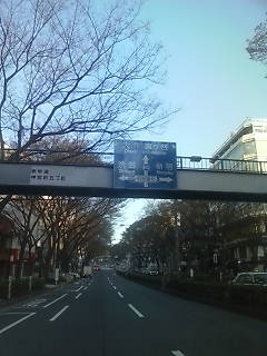 20080329060951.jpg