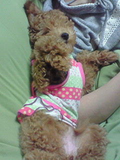 200804230025000.jpg