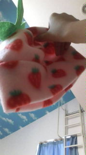 20080428133942.jpg