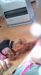 20090127105859.jpg